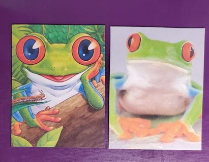 Frog Magnets