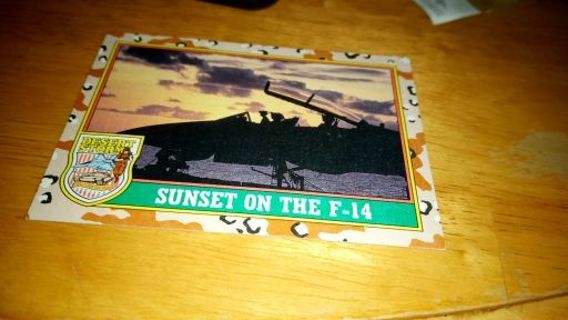 Sunset on the F-14