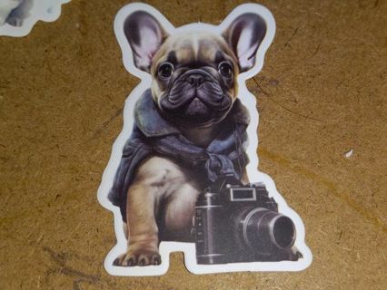 Dog New Cute vinyl sticker no refunds regular mail only Very nice quality!