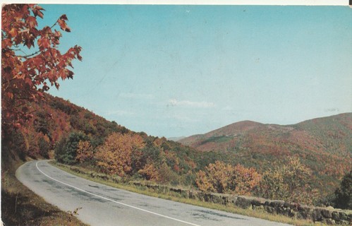 Vintage Unused Postcard: h: Fall Color