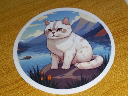 Cat Cute new one nice vinyl laptop sticker no refunds regular mail very nice quality