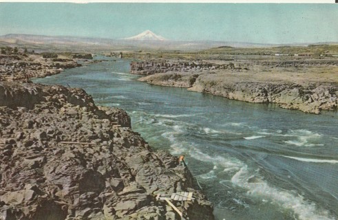 Vintage Unused Postcard: z: Columbia River, Oregon/Washington