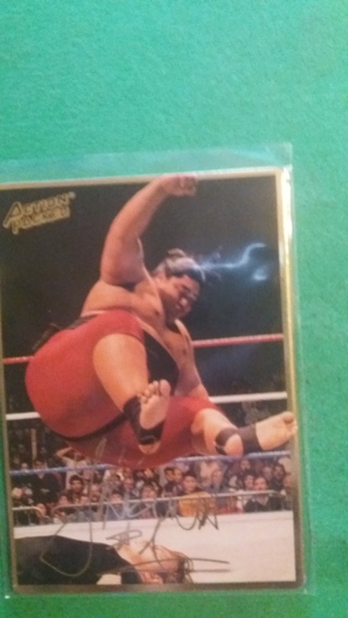 wwf yokozuna card free shipping