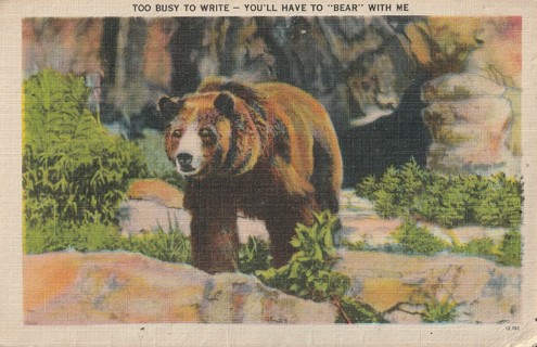 Vintage Unused Postcard: Linen: Too Busy to Write 