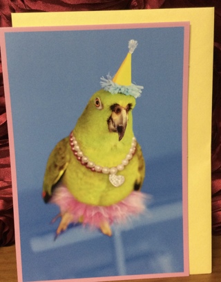 Green Parrot Birthday Card