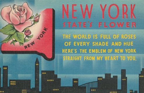 Vintage Unused Postcard: Greetings From New York