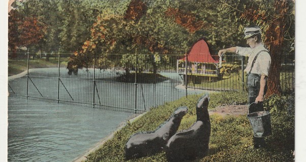 Vintage Used Postcard: u: 1914 Feeding the Seals, Belle Isle, Detroit, MI