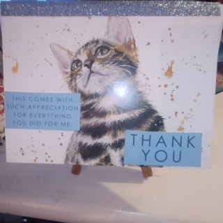 Thank You - Design Blank Note Card
