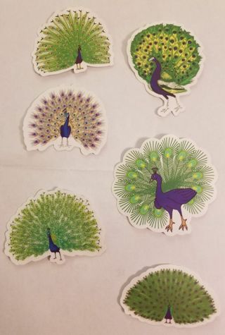 Peacock Stickers Set 1