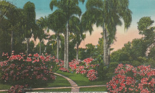 Vintage Used Postcard: L: 1948 Garden in the Sunshine State, FL