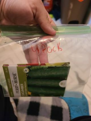Pack of 4 seeds