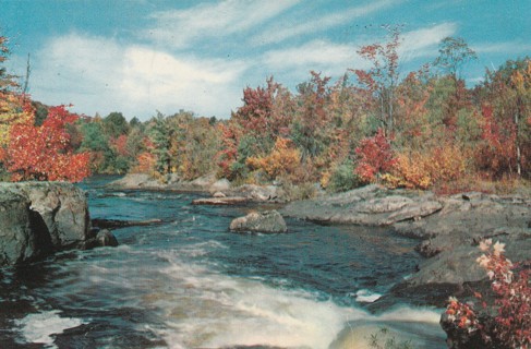 Vintage Unused Postcard: GIN: Greenwood Lake, NY