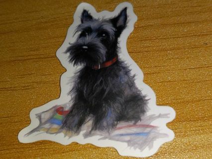 Dog Cool one nice vinyl sticker no refunds regular mail only Very nice quality!