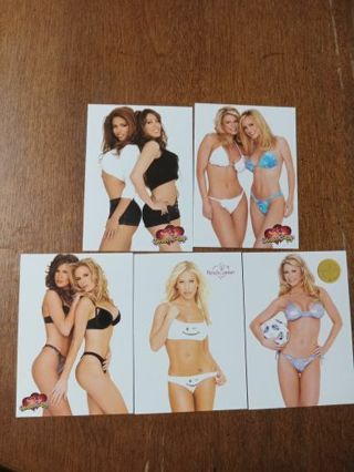 2002 Benchwarmer 5 Card Lot