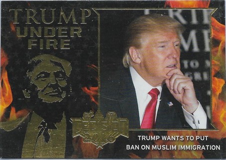 2016 Decision 2016 Trump Under Fire #TUF9 Trump wants to put ban on Muslim immigration