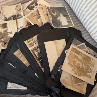 Huge pile of Antique Photos B/W 