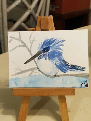 Original, Watercolor Painting " 2-1/2 X 3-1/2" ACEO Belted King Fisher Bird by Artist Marykay Bond
