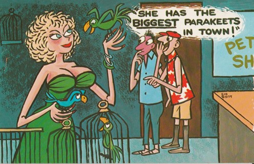 Vintage Unused Postcard: (k1) Comic: She Has The Biggest Parakeets in Town