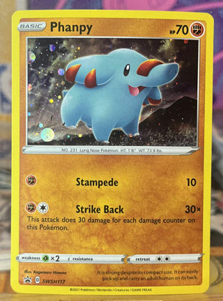 Phanpy SWSH 117 Holo Black Star Holo Promo - Pokemon Chilling Reign NM