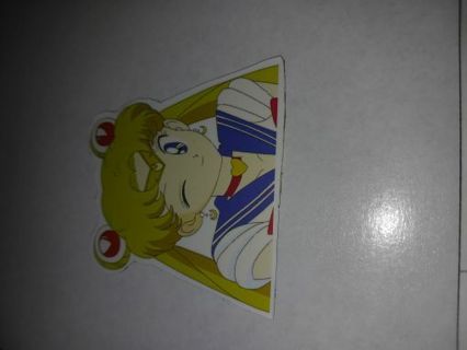 Sailor Moon Magnet