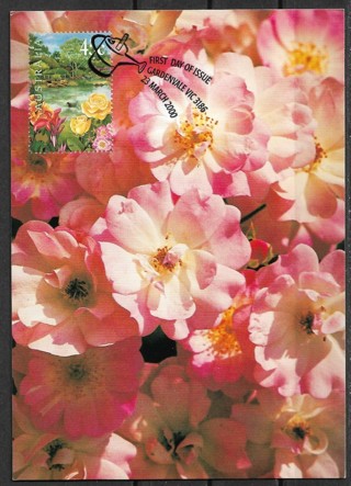 2000 Australia Sc1816 Blush Rambler Roses maxi card