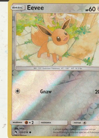 Pokemon Card: Eevee