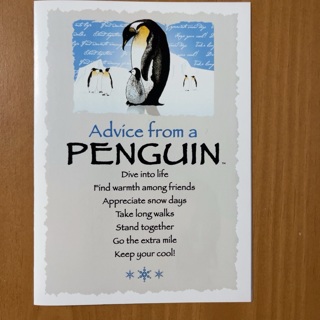 Penguin Note Card 