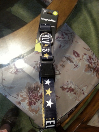 New dog collar