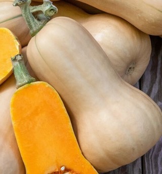 Butternut Squash--5 seeds