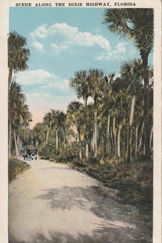 Vintage Unused Postcard: gin k: Dixie Highway, FL