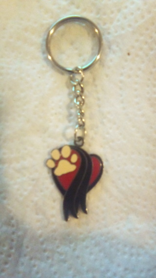 Remember a passed away pet ,Keychain