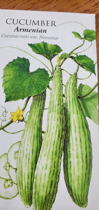 Armenian Cucumber 