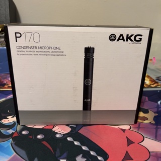 AKG P170 Studio Condenser Pencil Microphone Recording Overhead Instrument Mic