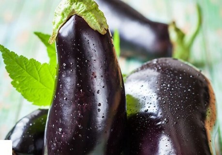 Black Beauty Organic Eggplant