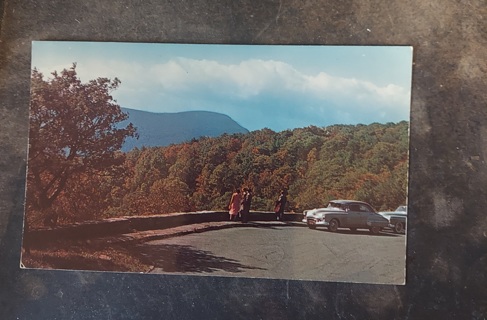 Shenandoah National Park Postcard 