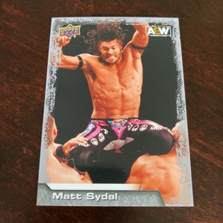 2022 Upper Deck AEW All Elite Wrestling - [Base] - #43 Matt Sydal