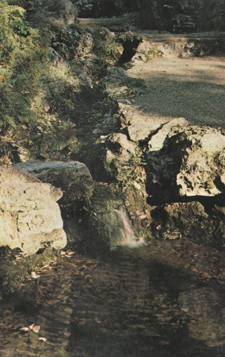 Vintage Used Postcard: (n): Thermal Waters Display Springs, Hot Springs, AR