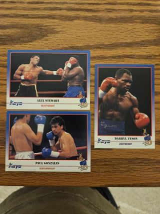 1991 KAYO Boxing trading cards.