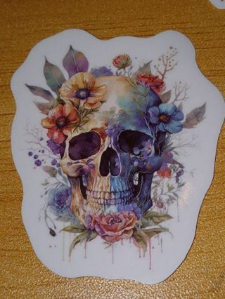 Pretty nice vinyl sticker no refunds regular mail only Very nice quality! Win 2 or more get bonus