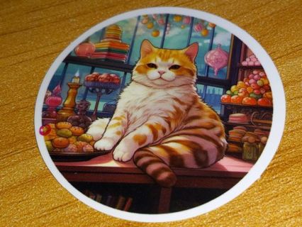 Adorable new one vinyl laptop sticker no refunds regular mail very nice quality