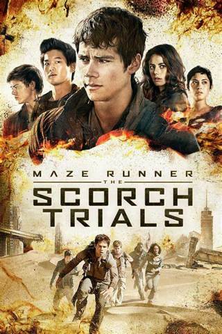 Maze Runner: Scorch Trials (HD code for MA, vudu, gp, or itunes)