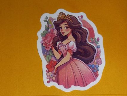 Princess Cute one nice vinyl laptop sticker no refunds regular mail very nice quality