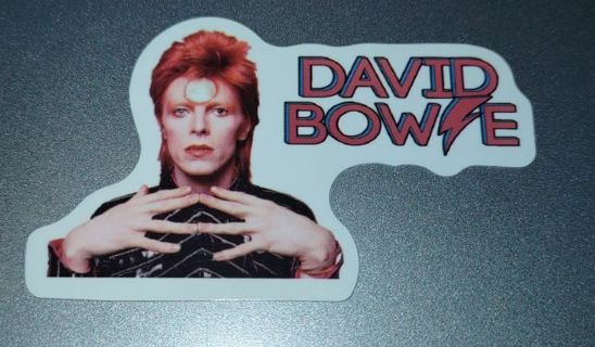 David Bowie laptop computer sticker band cooler water bottle suitcase journal luggage Xbox PS4