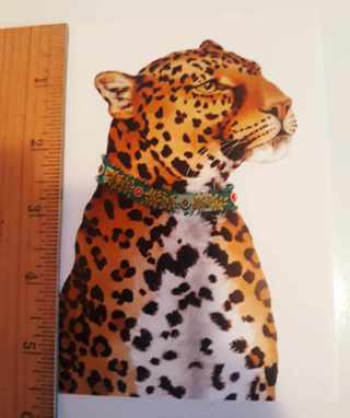 Leopard Art Postcard (new, unused)