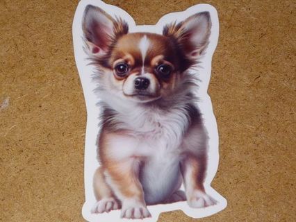 Dog Cute one new vinyl sticker no refunds regular mail only Very nice quality