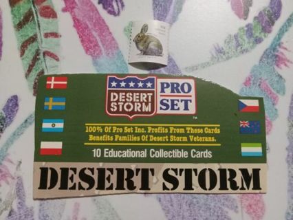 Desert Storm Cardboard Cut Out