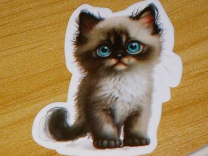 Cat New one nice big Cute vinyl sticker no refunds regular mail only Very nice !