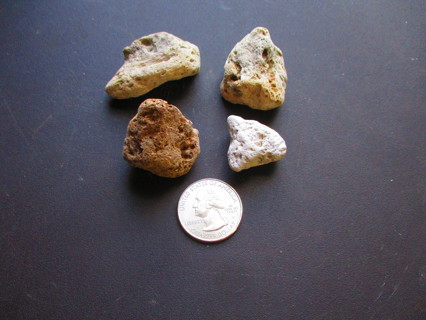 4 Specimens of Pumice/Lava