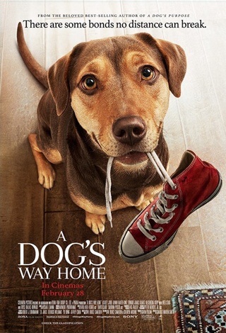 A Dog's Way Home HD MA Movies Anywhere Digital Code Copy Family Pet Film