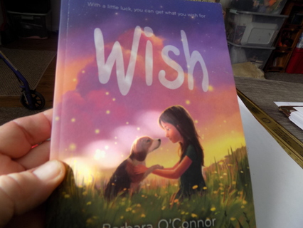 WISH paperback novel With a little luck you might get what you wish for
